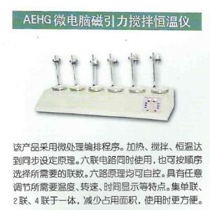 AEHG微电脑磁引力搅拌恒温仪